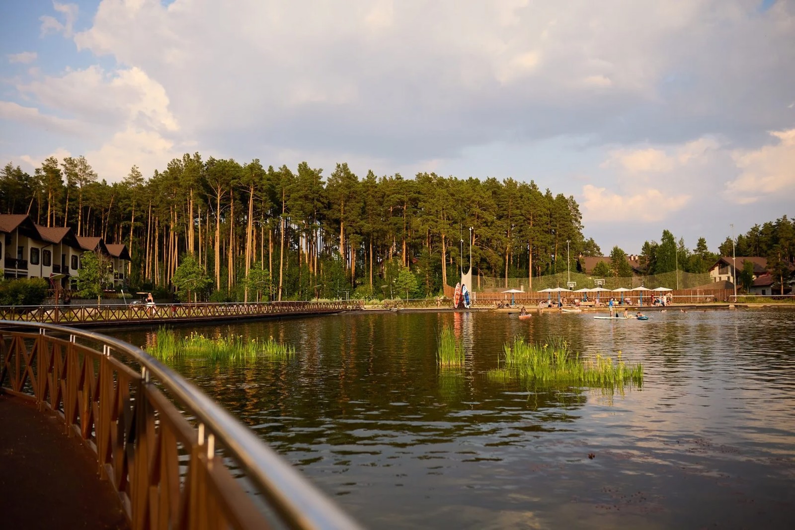 6U7A4056.jpg.webp