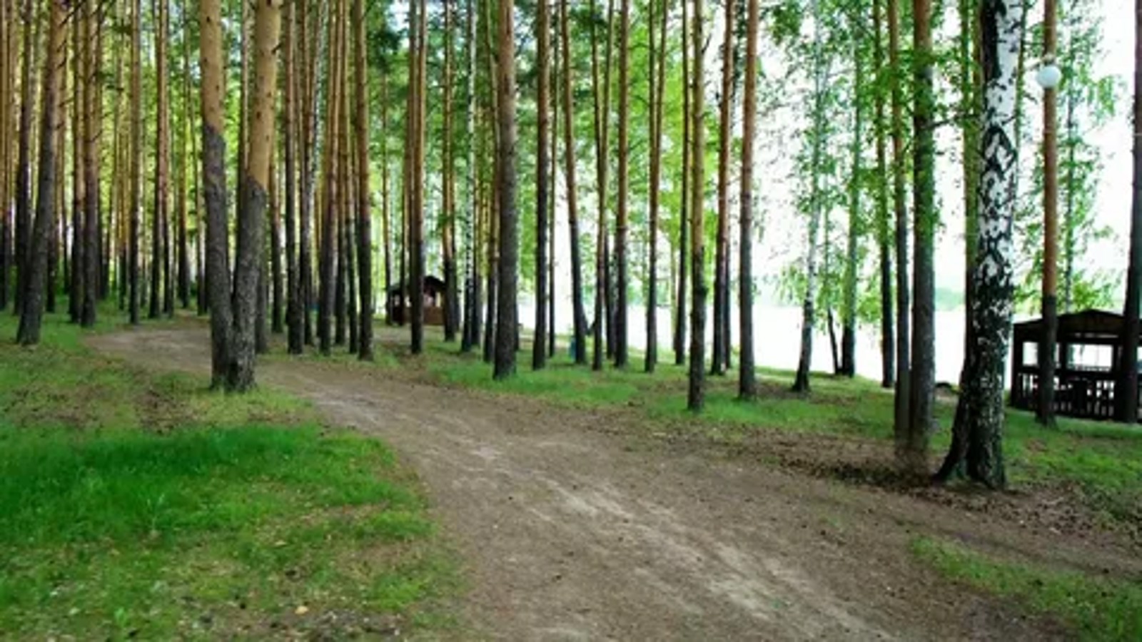 i-14.webp