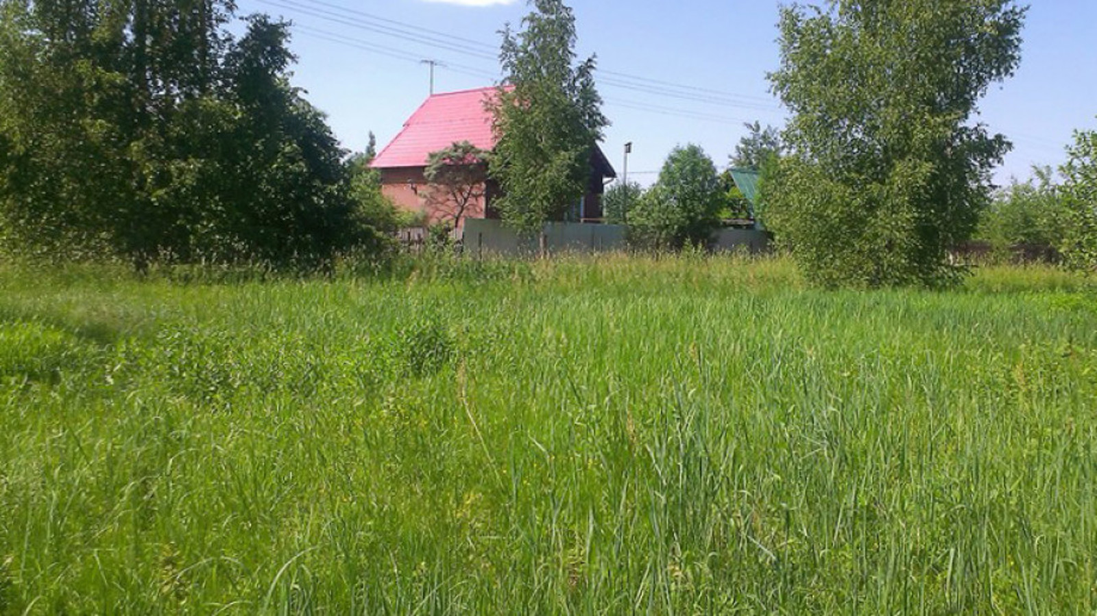 nt_1630935740_6921.jpg
