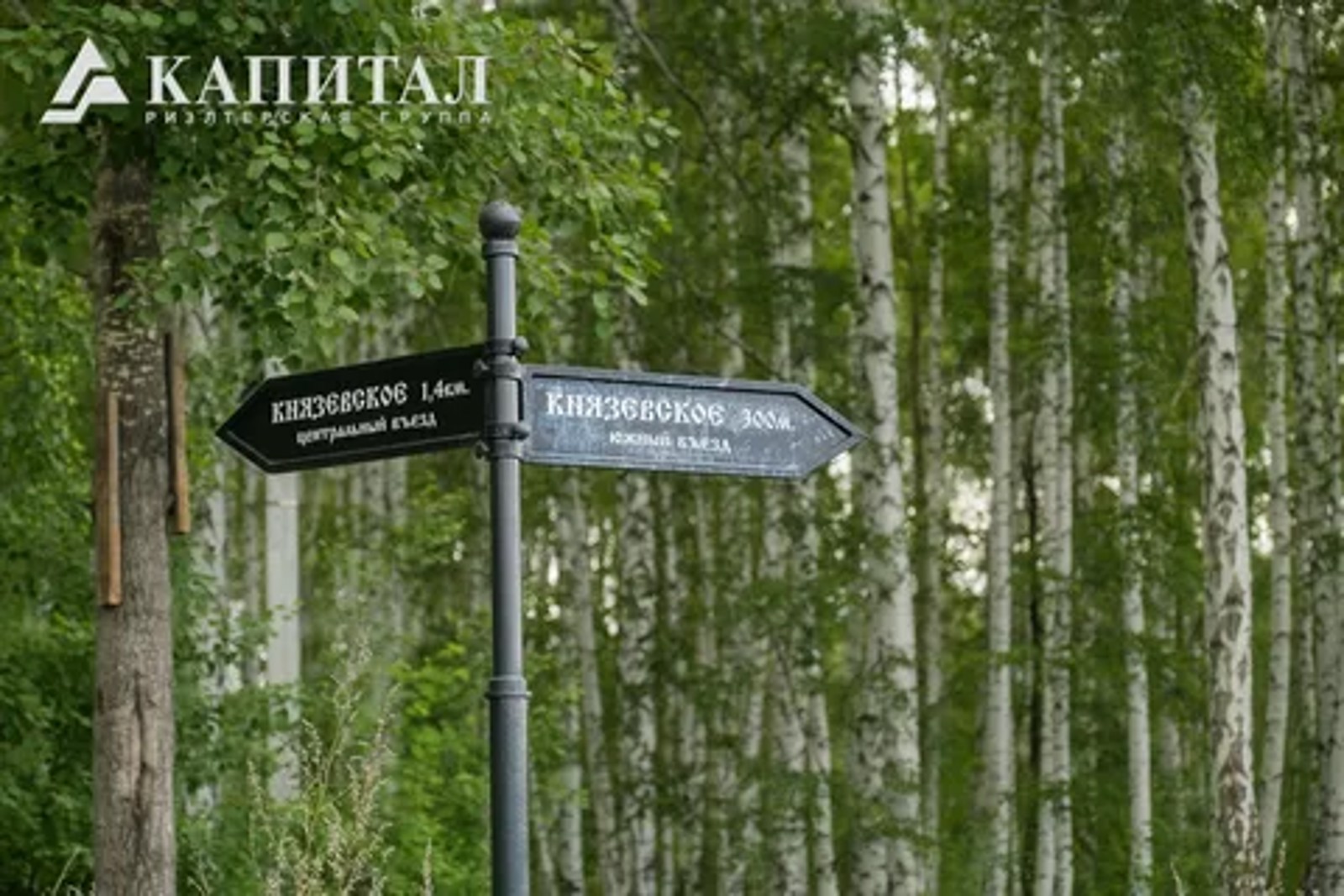 i-5.webp